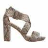 Sandler Congo Snake Print Sandals